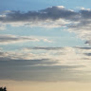 Meet your Posher, Louise